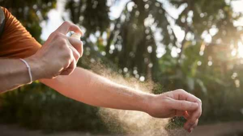 Hay invasión de mosquitos en Buenos Aires. (Foto: Adobe Stock).