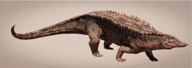 La Universidad de Texas hizo la investigación de esta nueva especie de dinosaurio