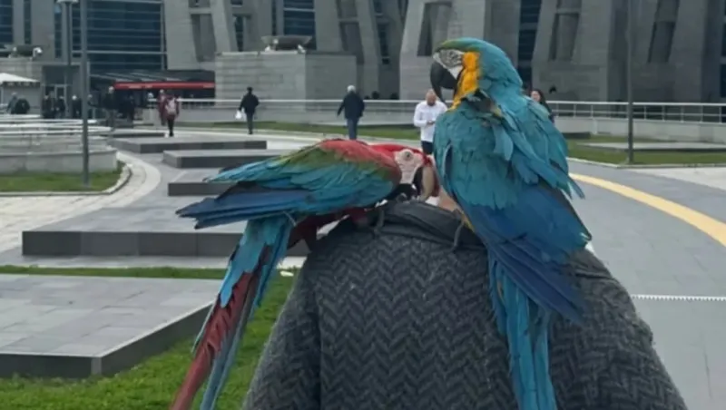 El hombre yendo al Palacio Judicial con los dos loros.