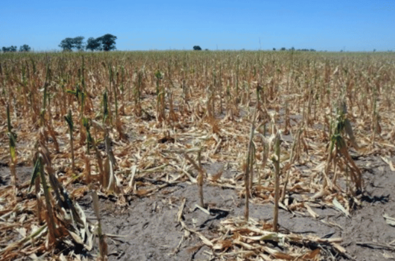 Sequía y bronca: el campo comienza a presionar por medidas concretas